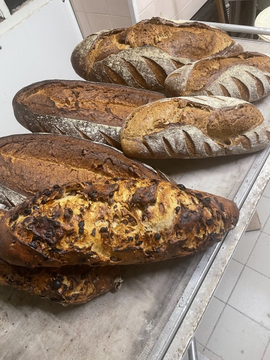 Photo gros pains Photo gros pains